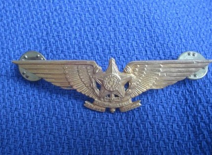 Brazil_Air_Force_badge.jpg