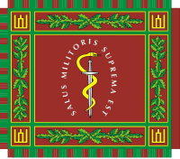 Lithuania_Medical_flag.jpg