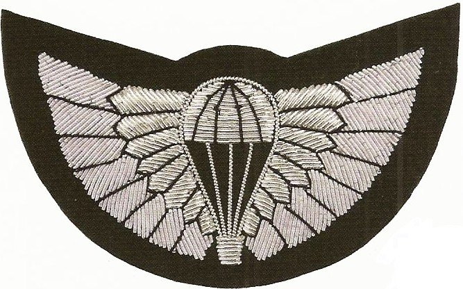 Special_Air_Service_Territorial_Army_Parachutist_003.jpg