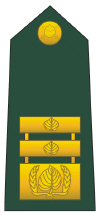 003_Generalmajor.jpg
