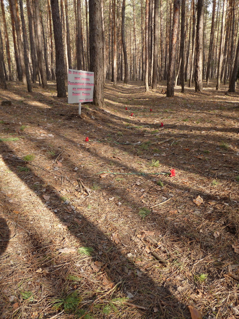 69 Artjuchovka defence line with carnations-zakop s karafiaty