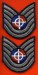 Dominican_republic_Air_Force_Airman_Technical_Sergeant.jpg