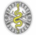 Lithuania_Medical_cap_badge.jpg