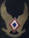 Philippine_Air_Force_officer_cap_badge.jpg