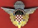 CROATIA_Presidential_Air_Crew_Paratrooper.jpg
