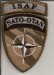 08_ISAF - NATO.jpg
